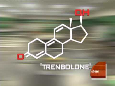 Anabolic steroids cycle information